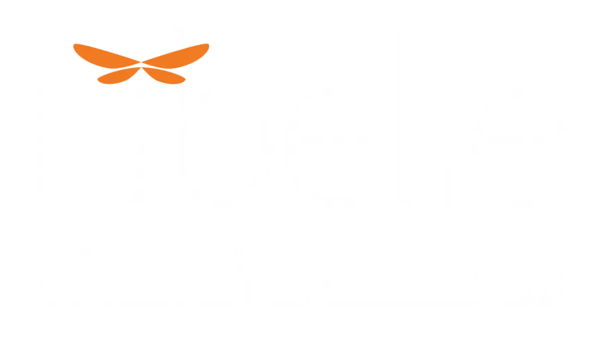 گروه آموزشی سنجاقک